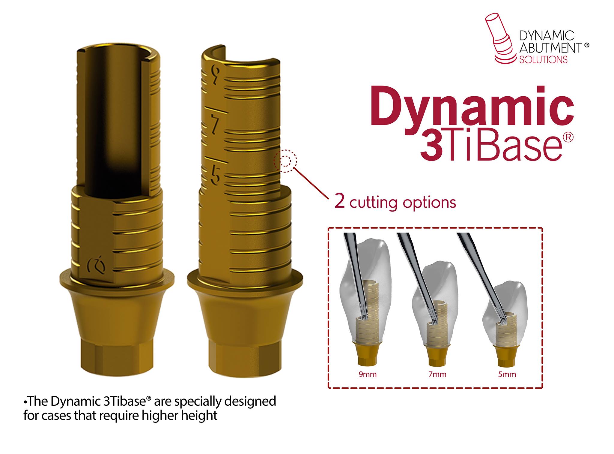 DYNAMIC 3TIBASE WORKING SAFETY Dynamic Abutment Solutions EN